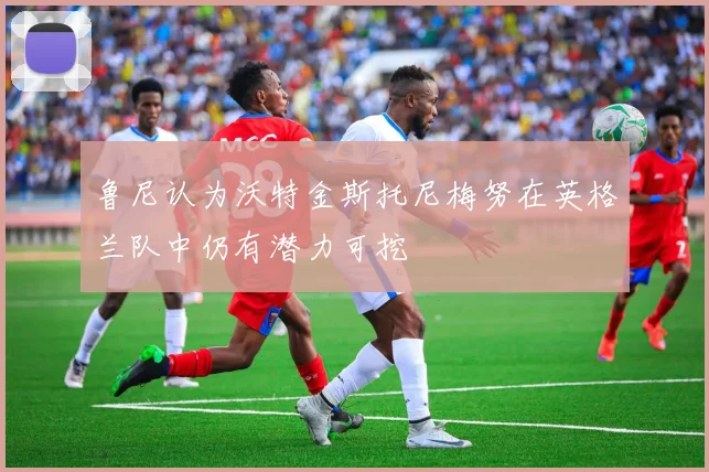 鲁尼认为沃特金斯托尼梅努在英格兰队中仍有潜力可挖