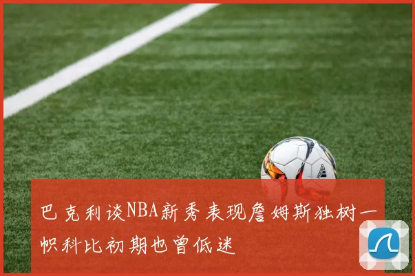 巴克利谈NBA新秀表现詹姆斯独树一帜科比初期也曾低迷